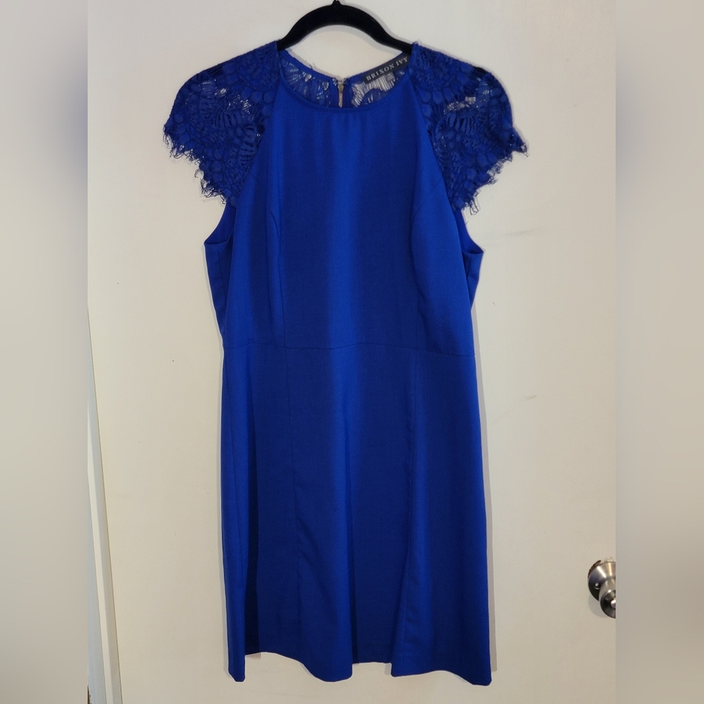 Brixton Ivy Cobalt Blue Lace Tenley Cap Sleeve Dress Size Medium